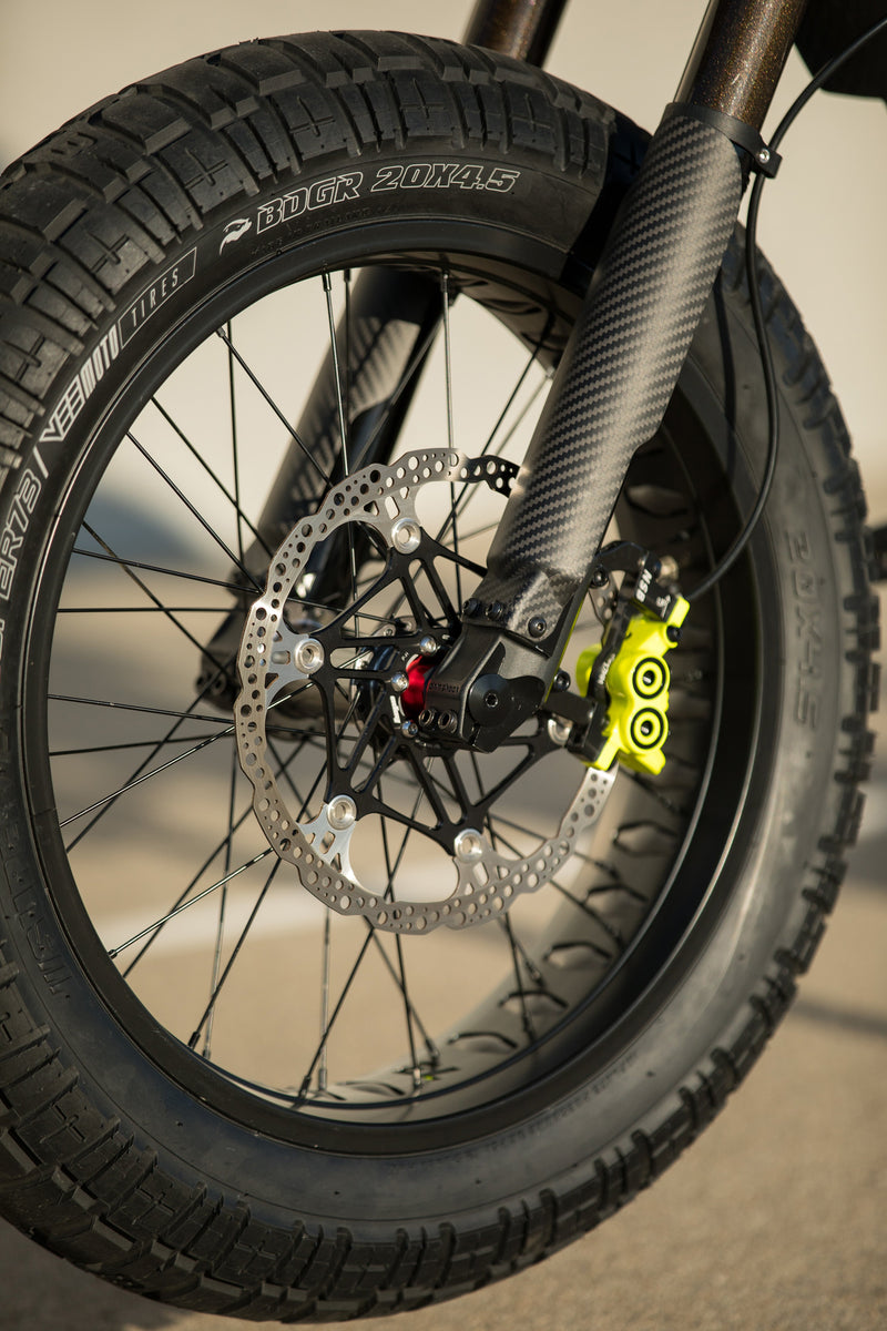 R/RX Fork Guards Flow Carbon